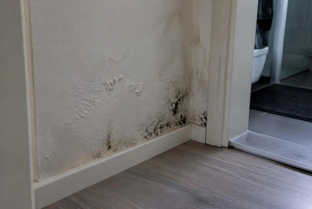 Lekdetectie Oudewater – vochtplek met schimmel op een muur